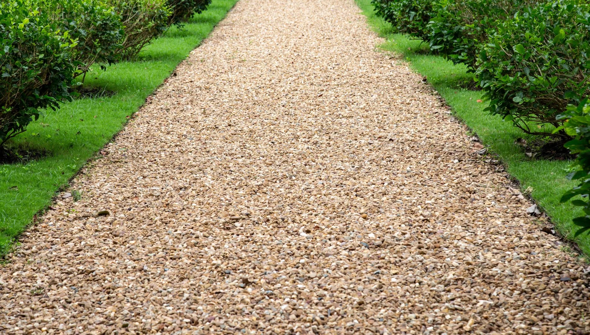 Formal gravel path between trimmed low hedging — Evenii facilities grounds maintenance