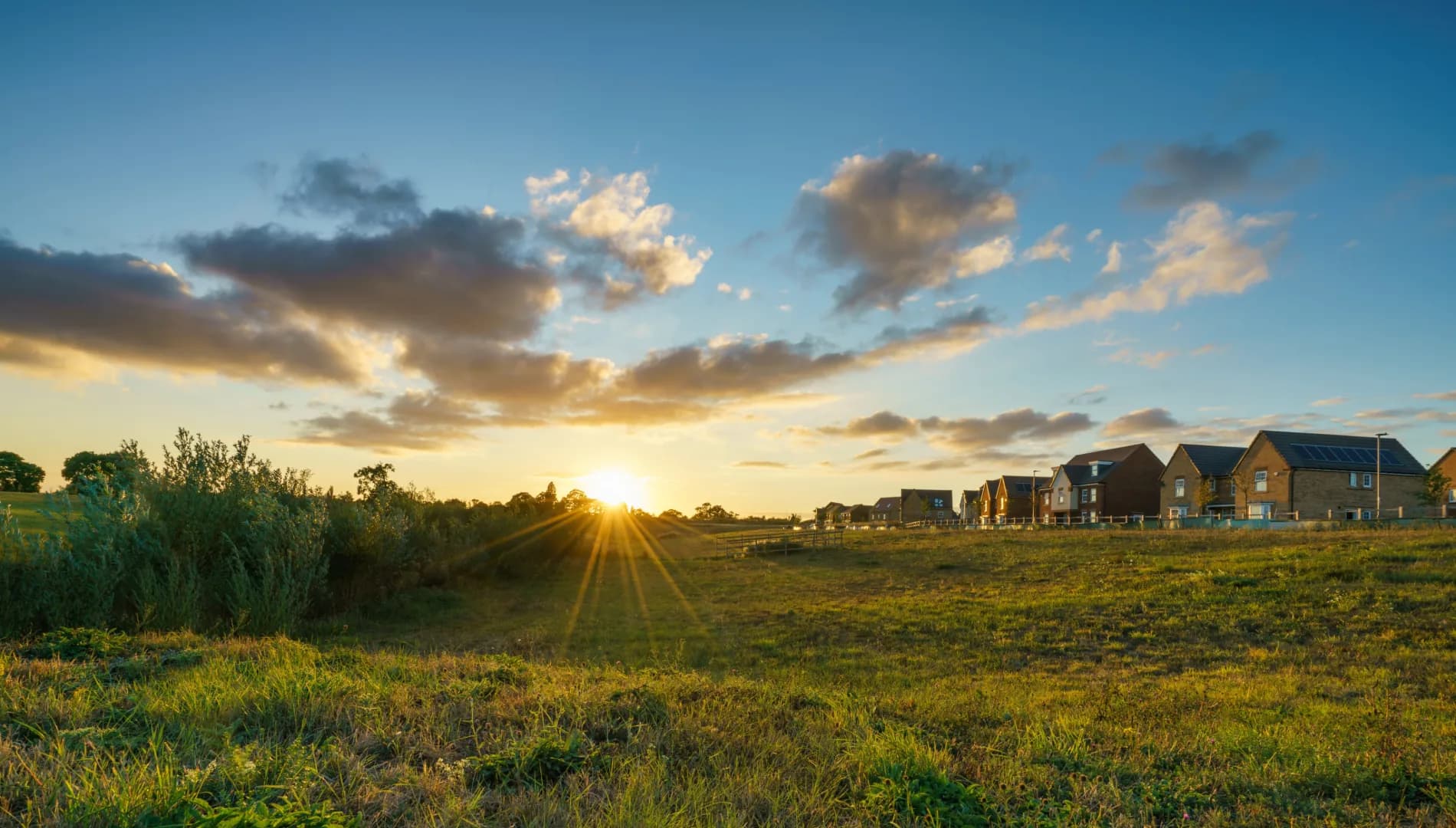 Landscaped housing association estate grounds at golden hour — Evenii grounds maintenance