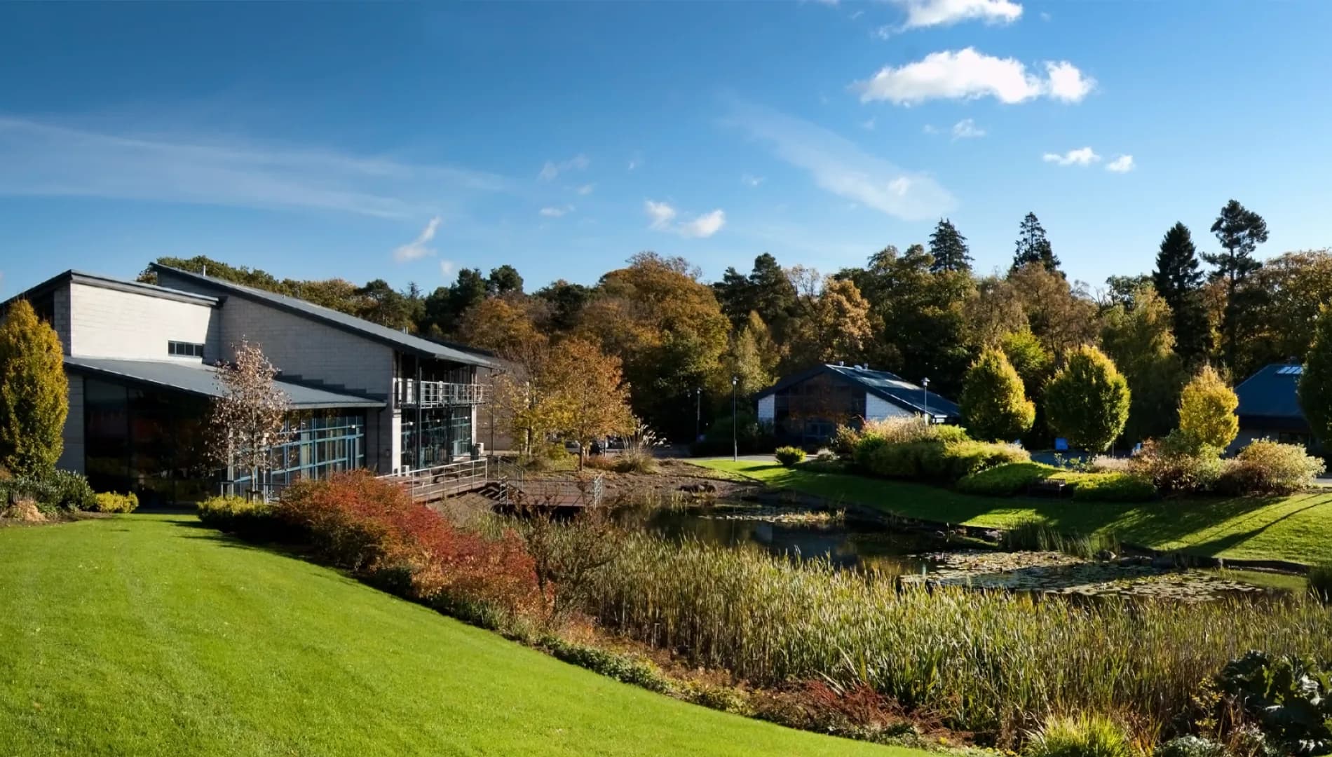Landscaped commercial grounds with ornamental lake and mature trees — Evenii Landscaping